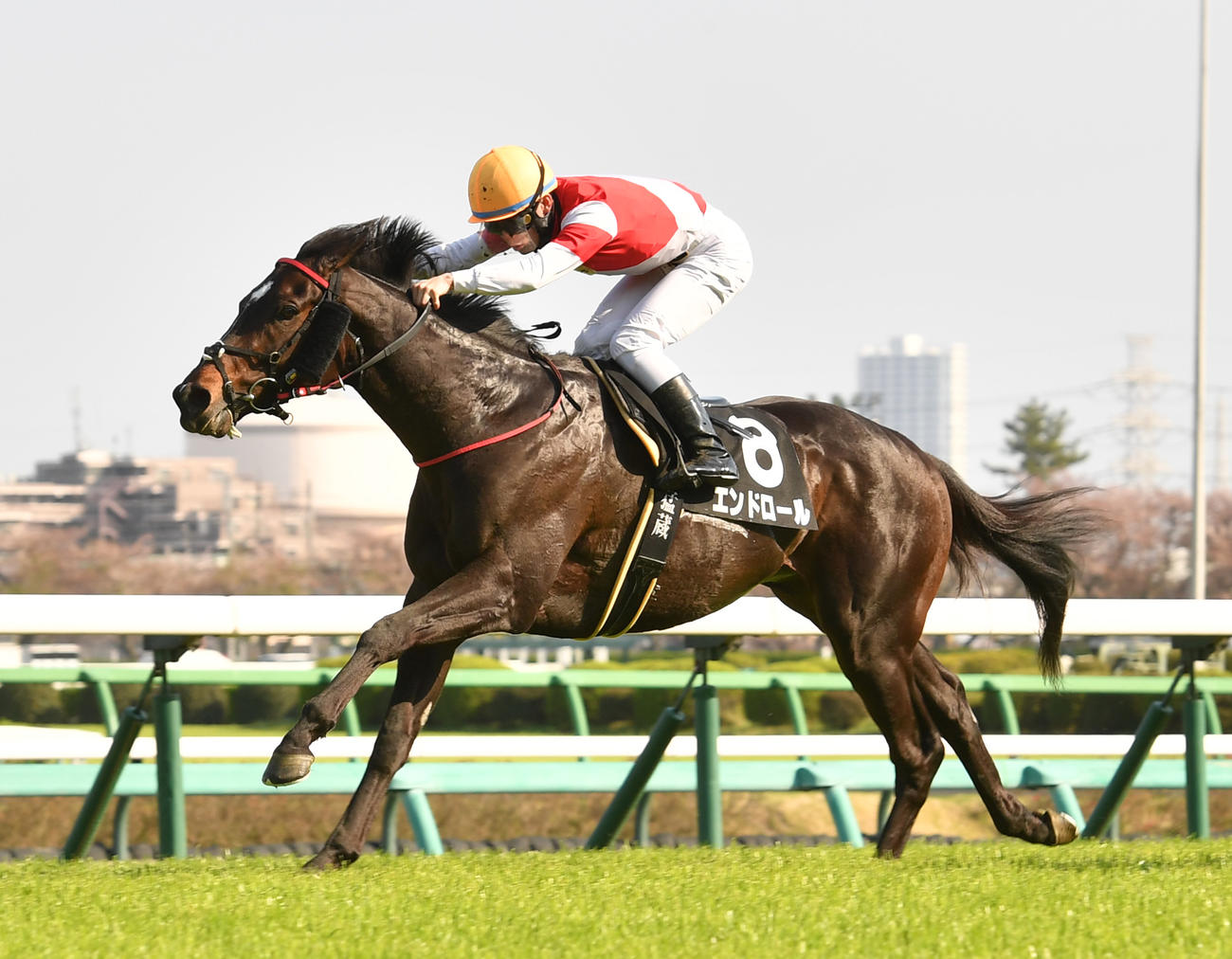 エンドロールと永野猛蔵騎手（2023年4月1日撮影）