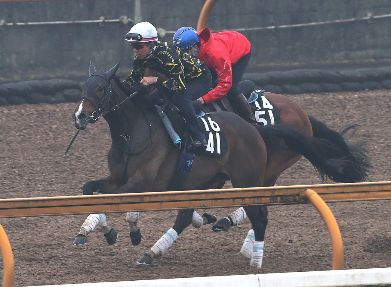 Cウッドをデルマモナーク（右）と併せ馬で追い切るイングランドアイズ（撮影・白石智彦）