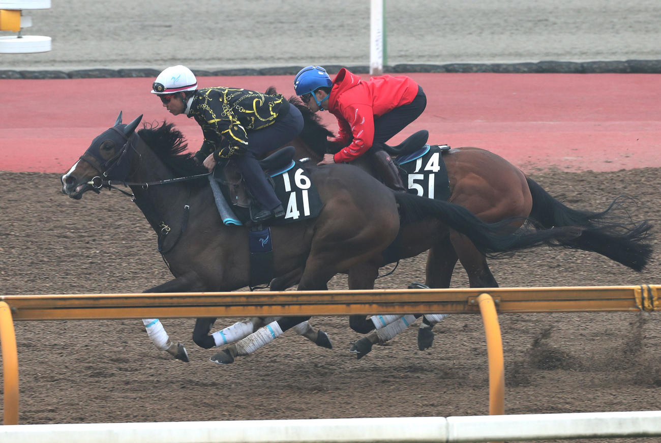 Cウッドをデルマモナーク（右）と併せ馬で追い切るイングランドアイズ（撮影・白石智彦）