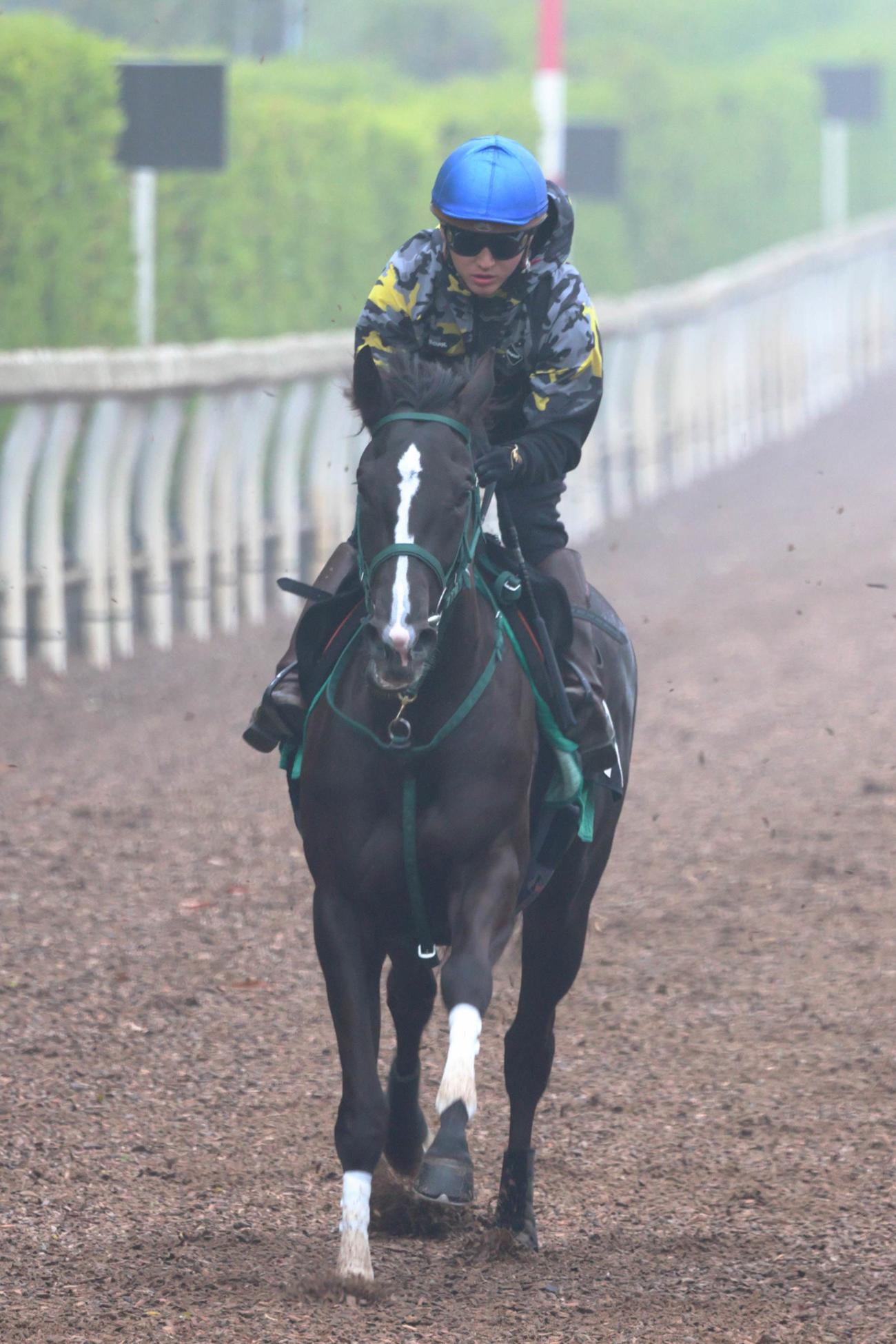 鮫島克駿が騎乗し、坂路で追い切られたブライトジュエリー