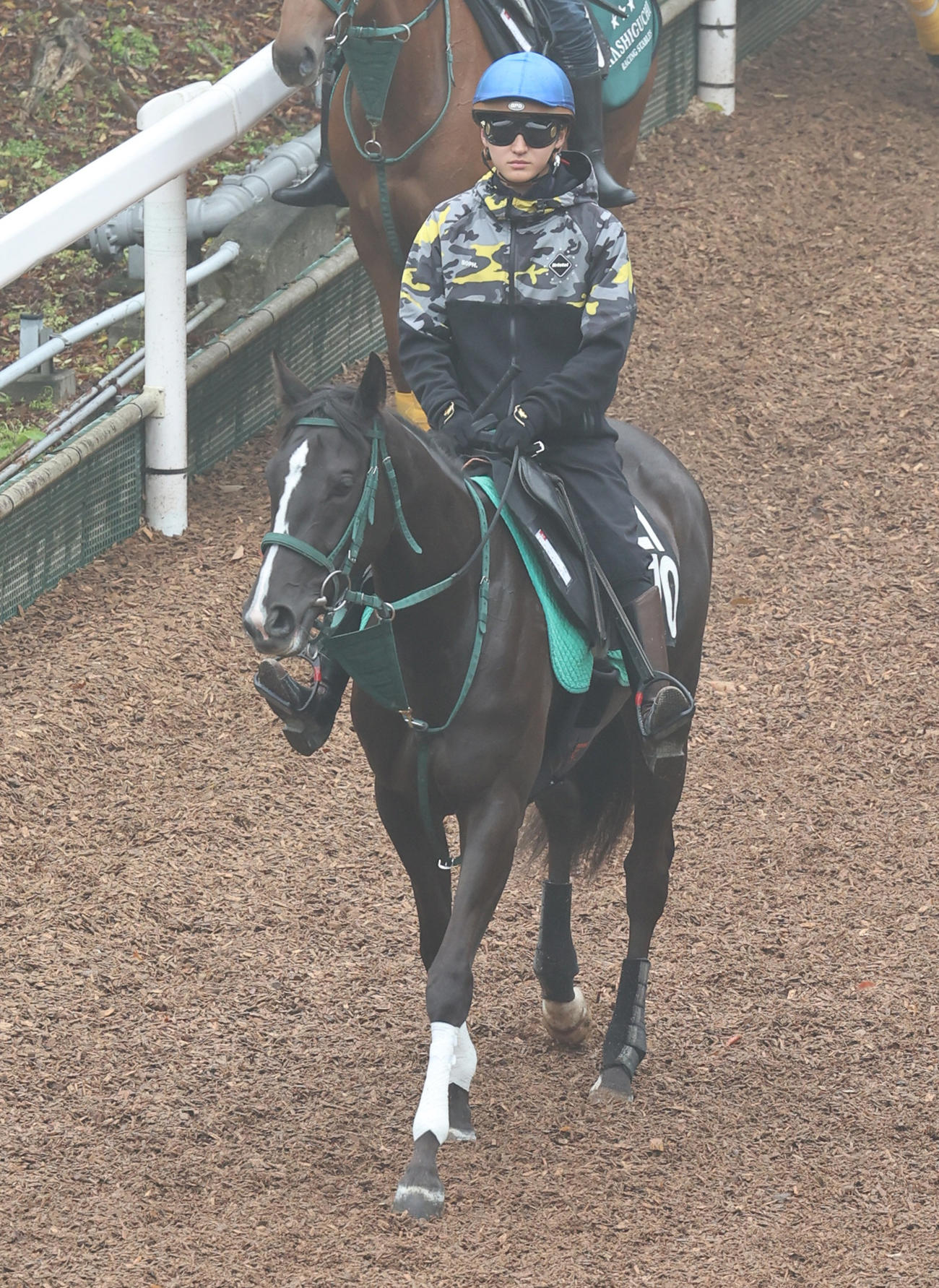 鮫島克駿騎手を背に坂路へ向かうブライトジュエリー