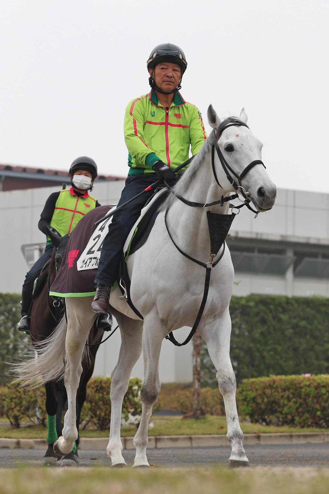 角馬場へ向かうガイアフォース
