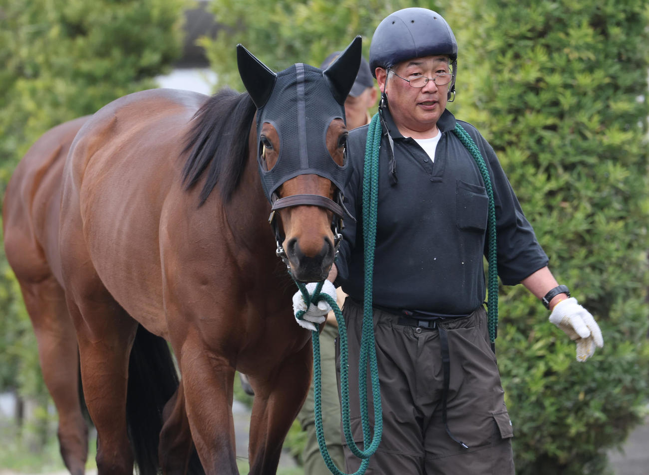 モズメイメイ（2023年4月6日撮影）