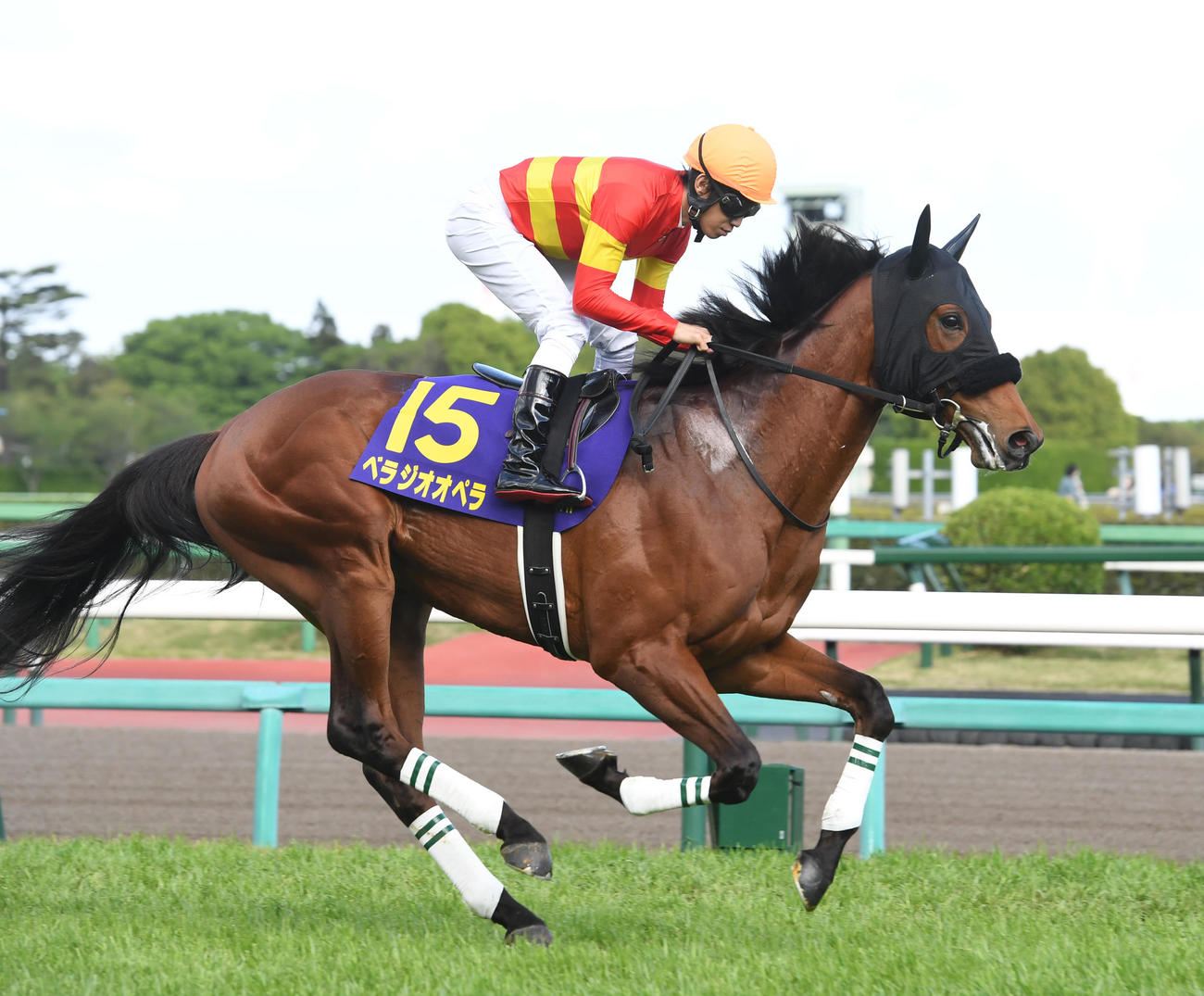 ベラジオオペラ（2023年4月16日撮影）