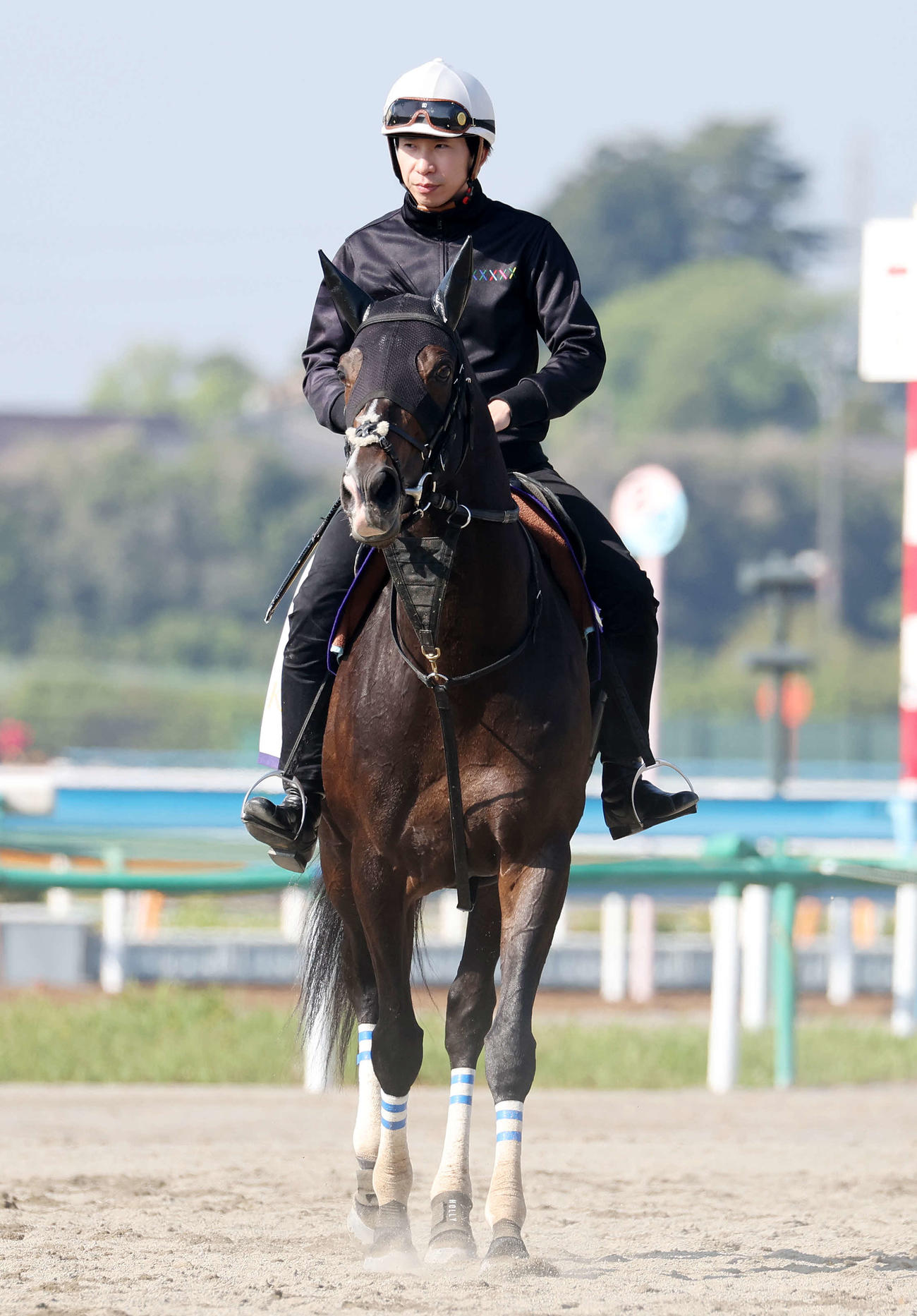 乗り運動するタイトルホルダー（撮影・鈴木正人）