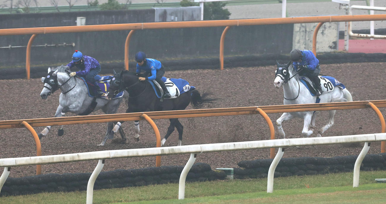 Cウッドをアイキャンドウイッ（中央）、シロニイ（右）と3頭併せで追い切るシルヴァーソニック