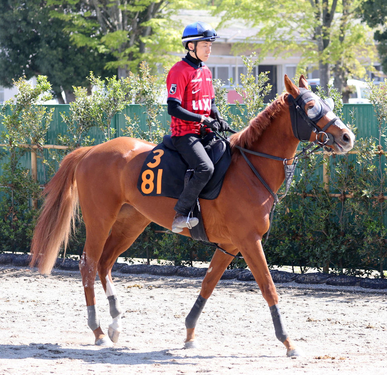 乗り運動するクイーンオブソウル（撮影・鈴木正人）