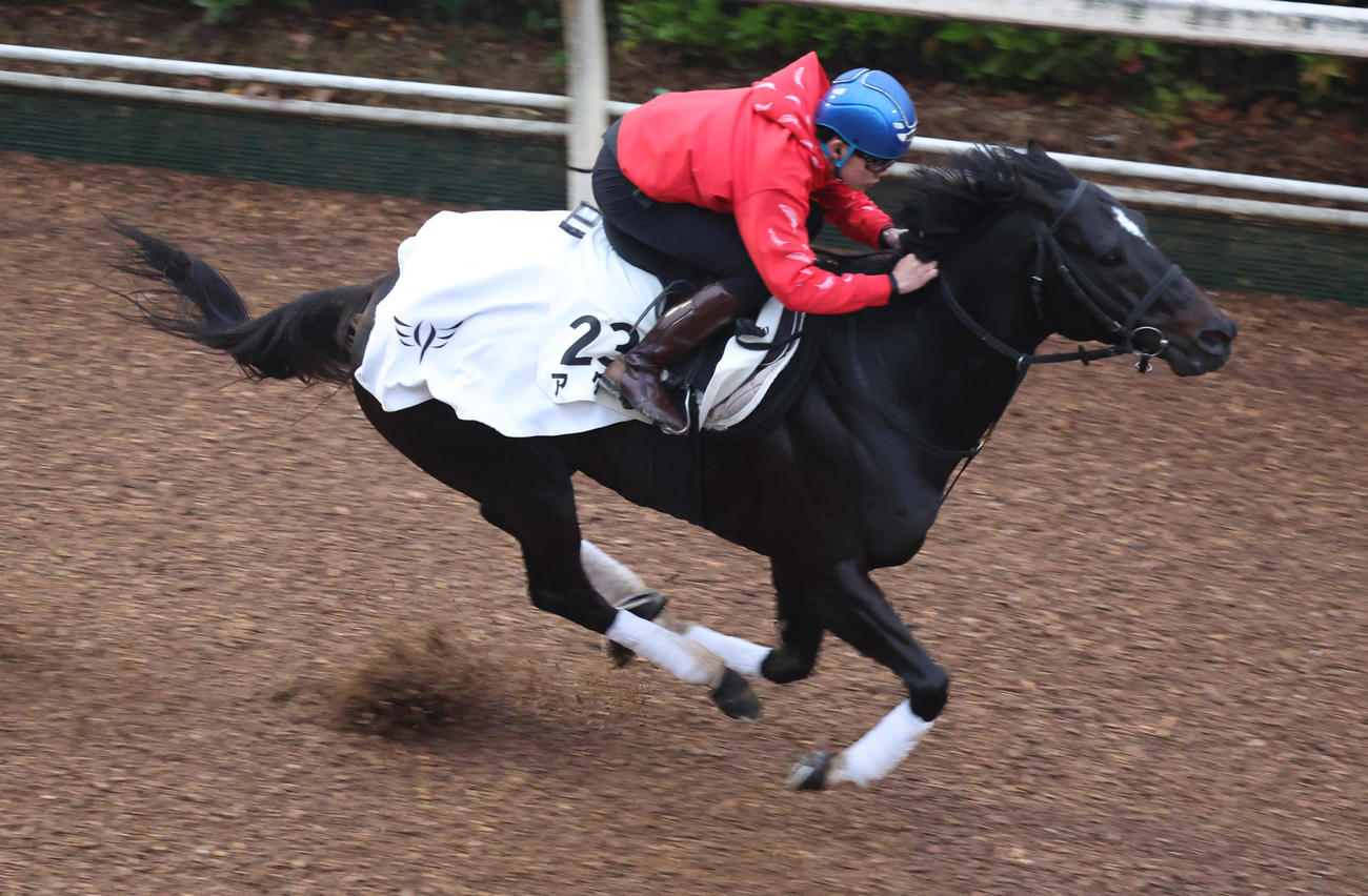 坂路で追い切るアグリ