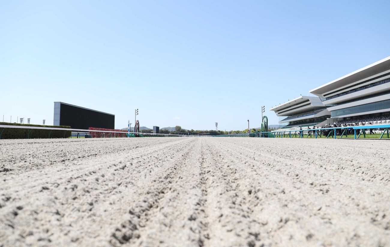 京都競馬場内覧会でお披露目されたダートコース（2023年4月10日撮影）