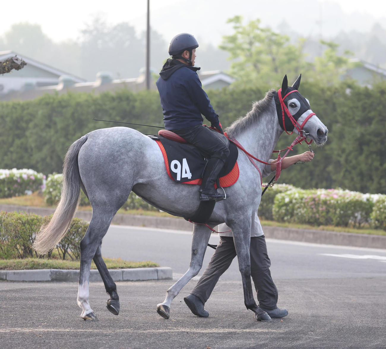 20日、乗り運動を行うイトカワサクラ