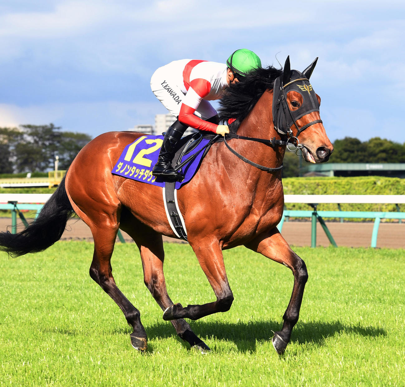 皐月賞18着に敗れたダノンタッチダウンと川田騎手（2023年4月16日撮影）