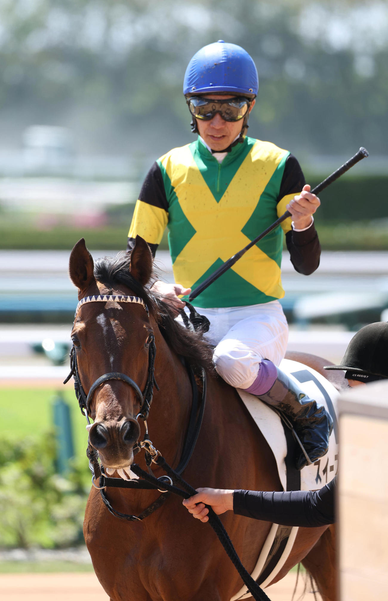 新装京都競馬場で初騎乗の武豊騎手は3着「馬場は最高。めちゃくちゃ