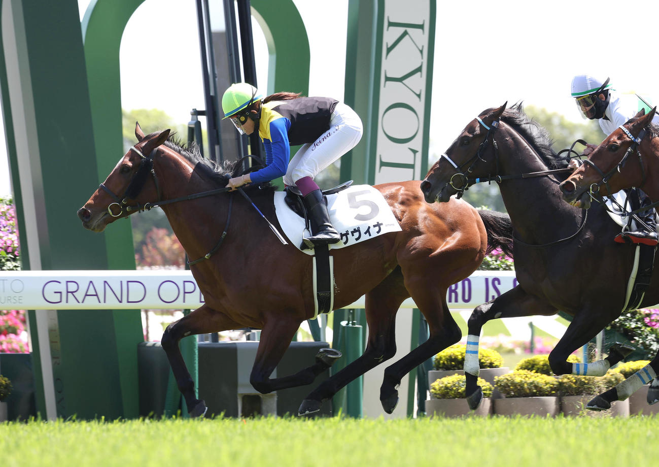 京都6Rをゲヴィナーで逃げ切った今村騎手（撮影・白石智彦）