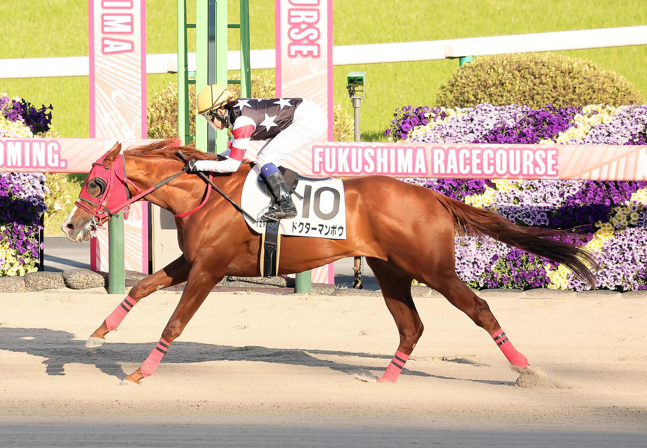福島12R、4歳以上1勝クラスをドクターマンボウで制した古川奈穂騎手（撮影・足立雅史）