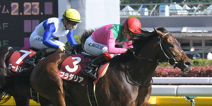 ゴール前差したプラダリアと池添騎手が青葉賞を制した＝2022年4月30日、東京競馬場