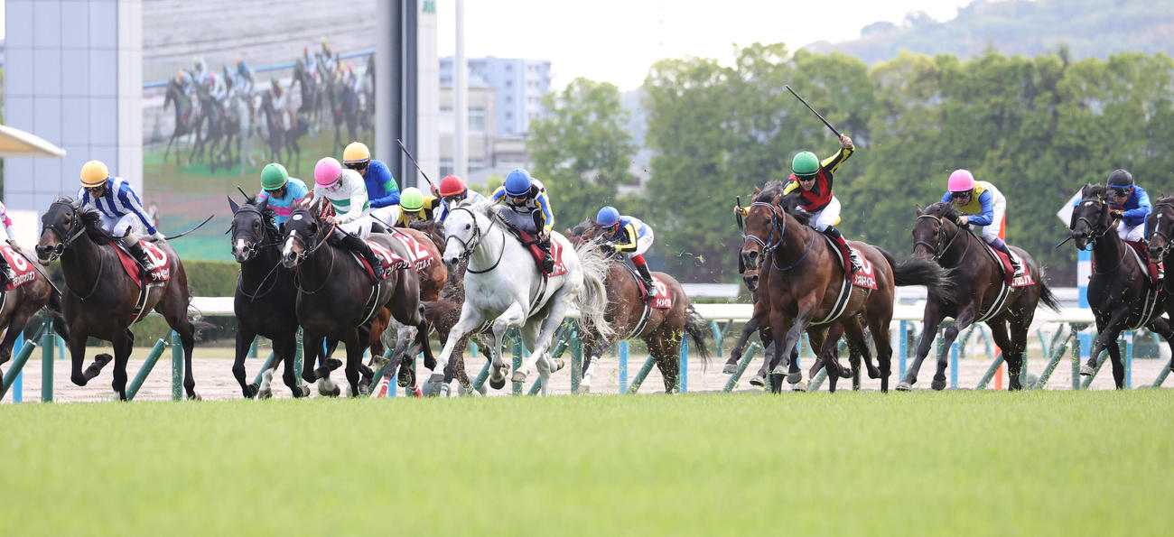 京都11R、直線外から豪快に伸びてマイラーズCを制したシュネルマイスター（右から3頭目）（撮影・白石智彦）
