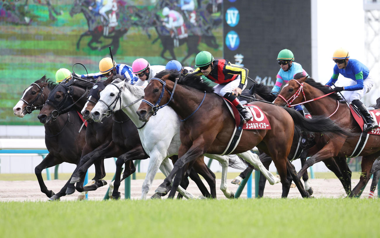 京都11R、直線外から豪快に伸びてマイラーズCを制したシュネルマイスター（左から5頭目）（撮影・白石智彦）