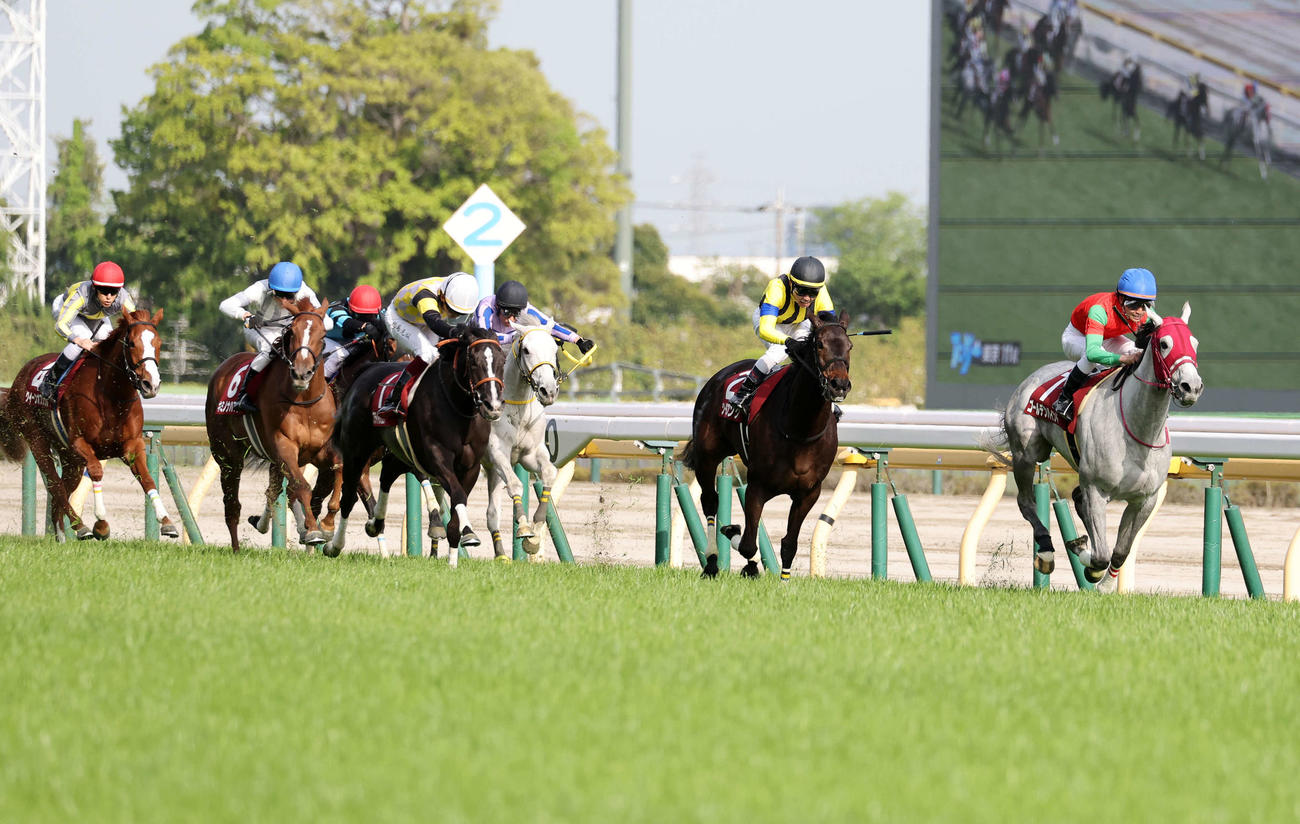 フローラSを制したゴールデンハインド（右）と菅原明良騎手（撮影・鈴木正人）
