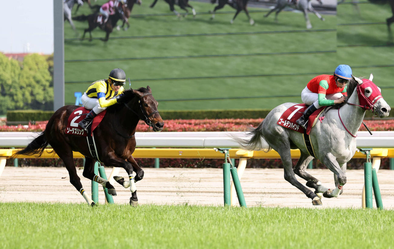 フローラS2着に敗れたソーダズリング（左）。右は勝ったゴールデンハインド（撮影・鈴木正人）