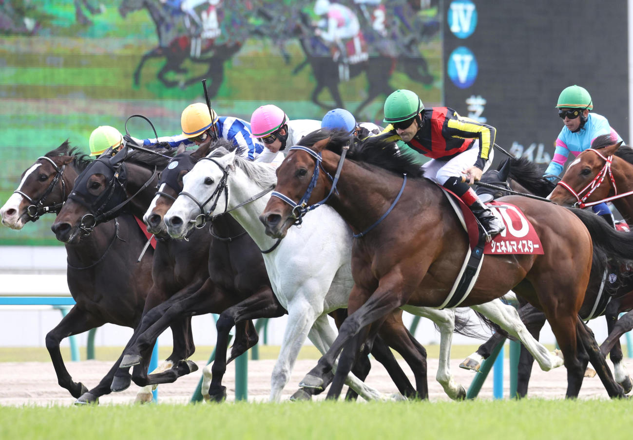マイラーズC2着のガイアフォース（右から2頭目）。右は勝ったシュネルマイスター（撮影・白石智彦）