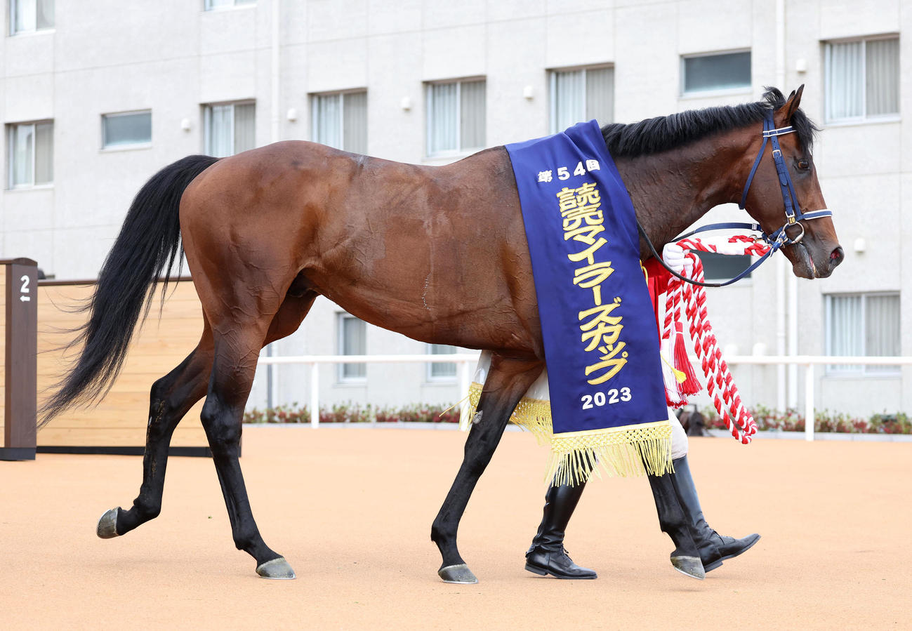 マイラーズCを制したシュネルマイスター（撮影・白石智彦）