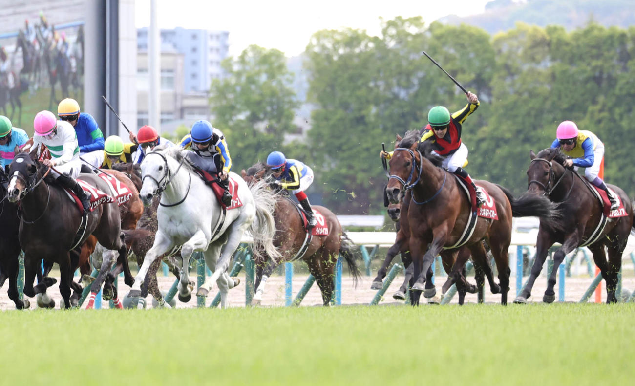 直線外から豪快に伸びてマイラーズCを制したシュネルマイスター（右から2頭目）（撮影・白石智彦）