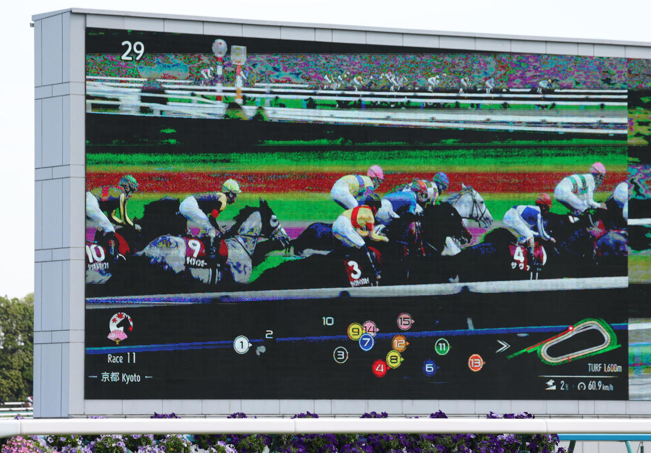 マイラーズCで運用された各馬の走行位置を表示するトラッキングシステム（撮影・白石智彦）