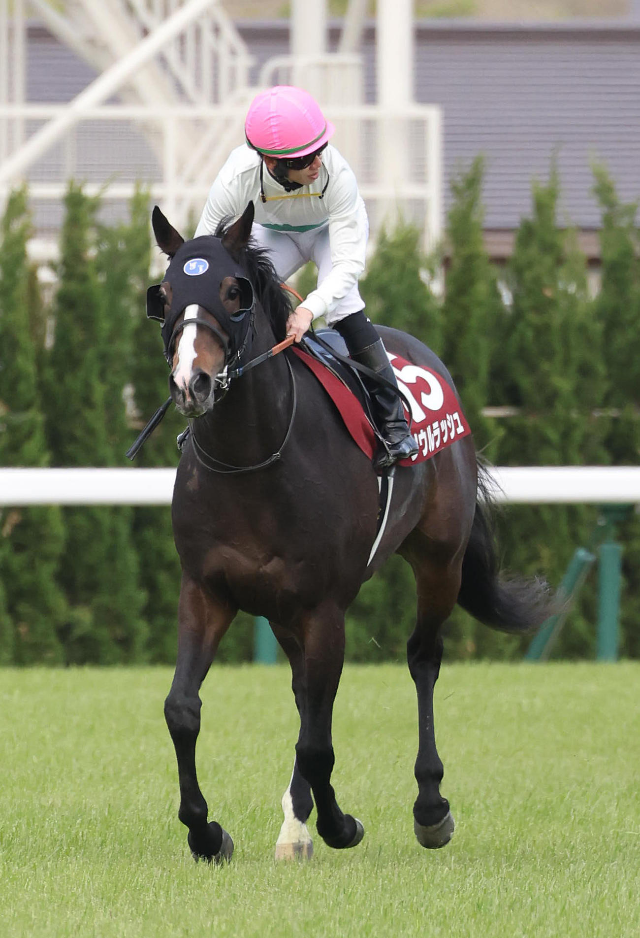 マイラーズC、3着に敗れたソウルラッシュ（撮影・白石智彦）