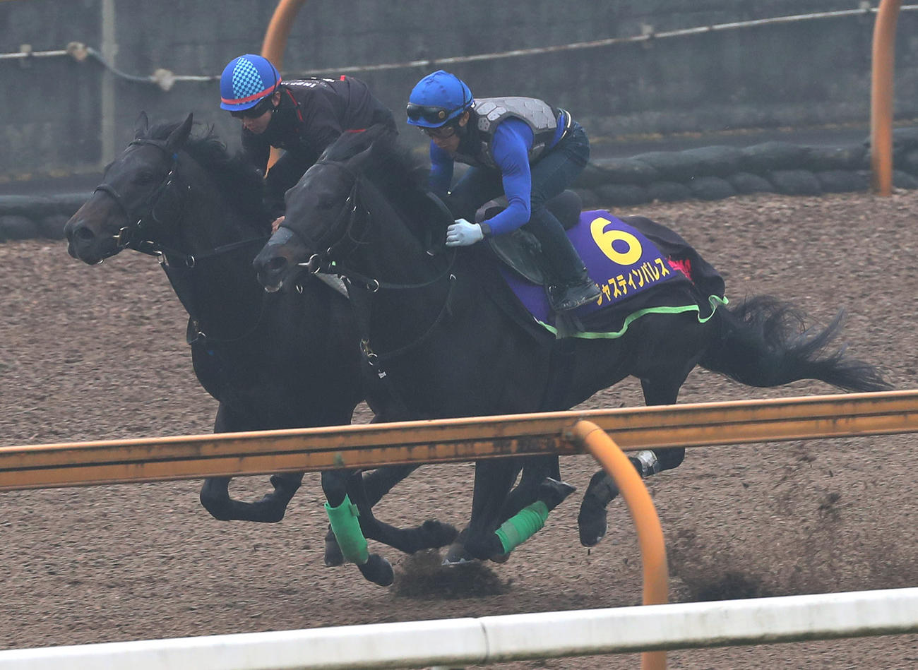 Cウッドを併せ馬で追い切るジャスティンパレス（右）（2023年4月19日撮影）