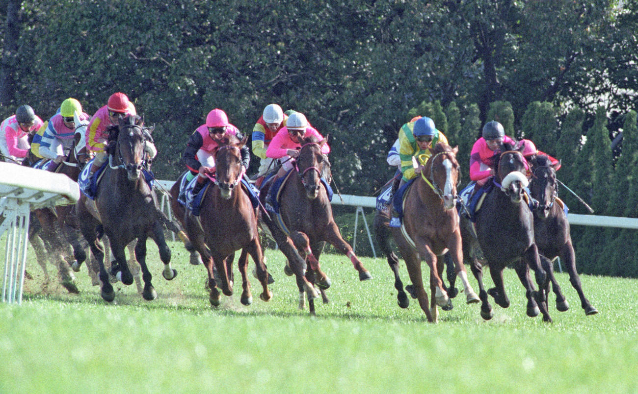 4コーナーを走る各馬。右から2頭目より左へ順にナリタブライアン、マヤノトップガン、サクラローレル