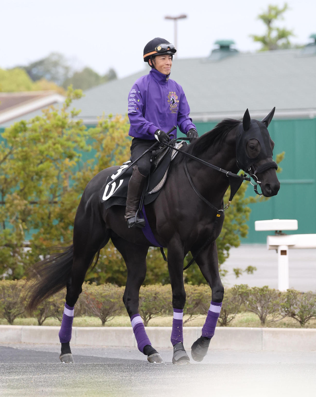 厩舎周りで運動するグランヴィノス（撮影・白石智彦）