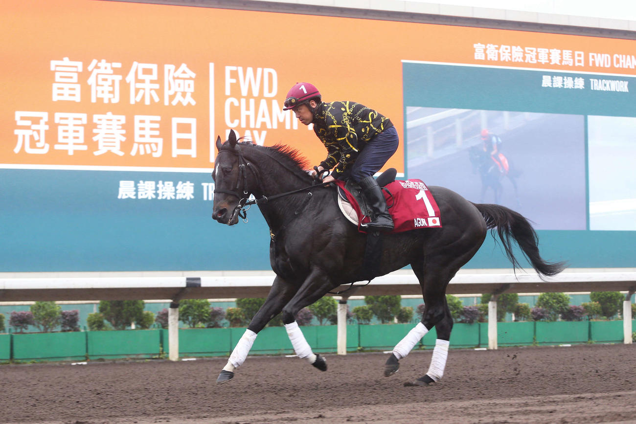 シャティン競馬場で調整するアグリ（C)The Hong Kong Jockey Club