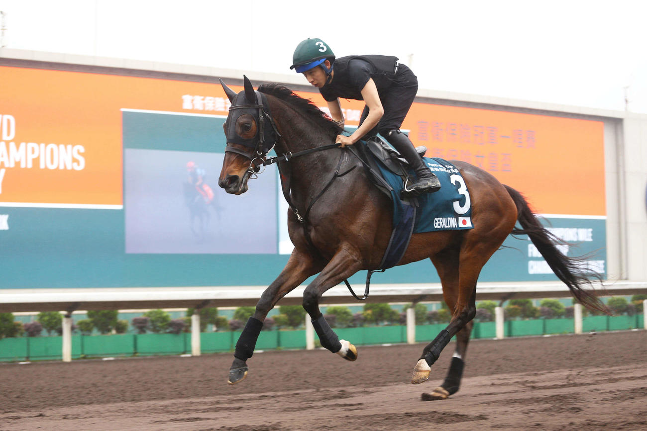 シャティン競馬場で調整するジェラルディーナ（C）The Hong Kong Jockey Club