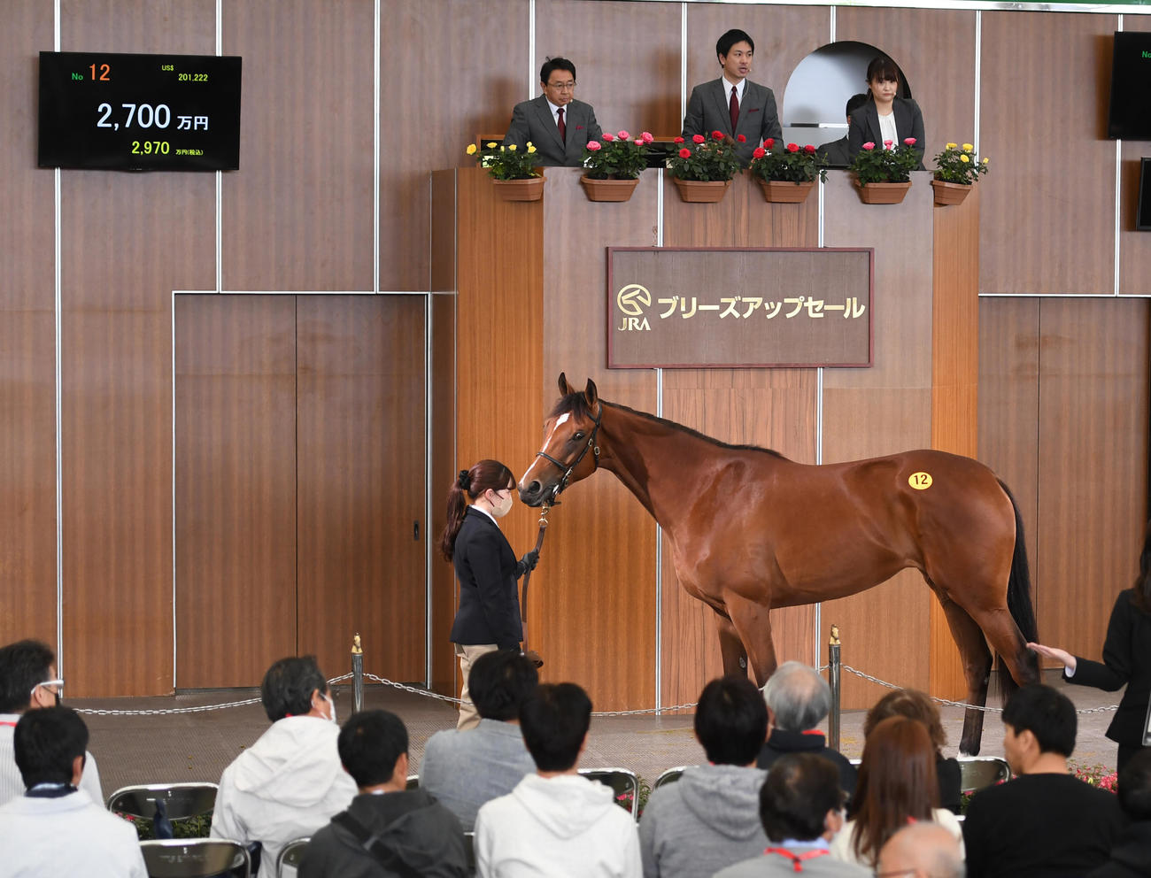 ブリーズアップセールで2700万で競り落とされたピンクシャンパン21（撮影・柴田隆二）