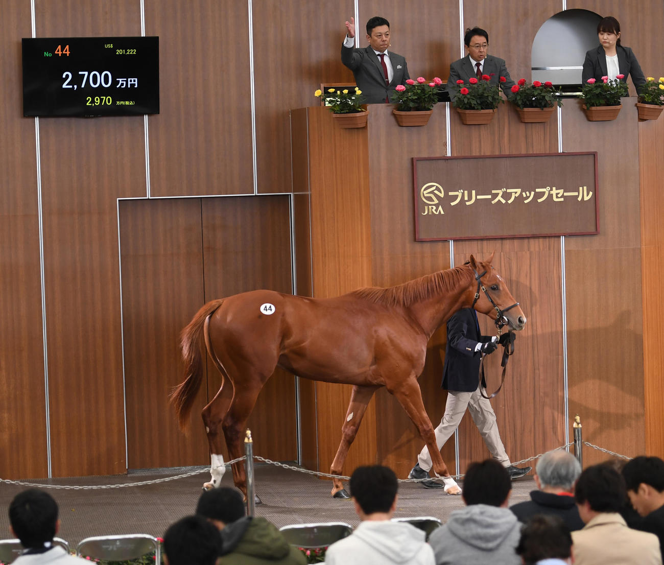 ブリーズアップセールで2700万で競り落とされたスルージエアー21（撮影・柴田隆二）
