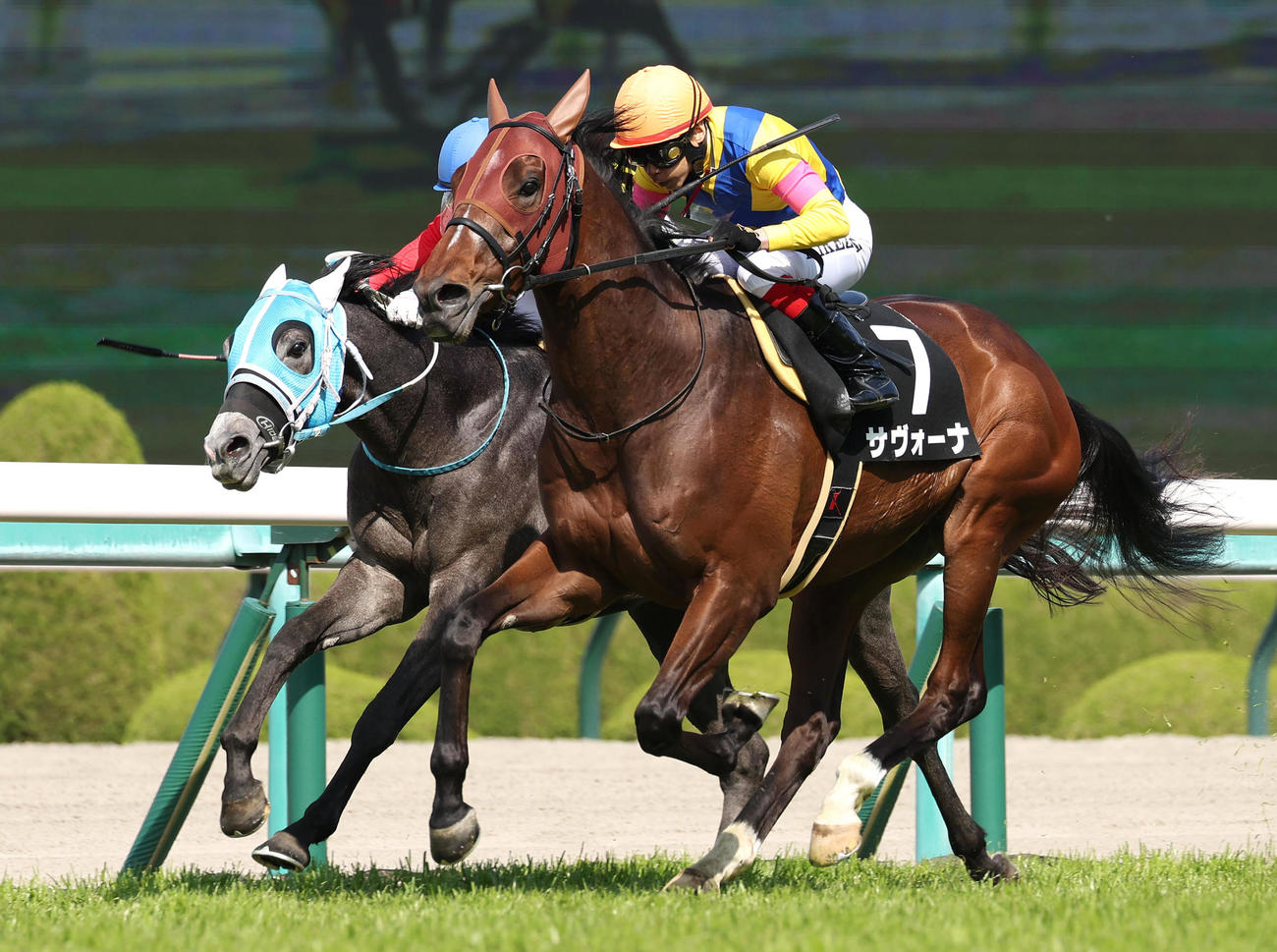 直線で抜け出したサヴォーナ（右）がアザレア賞を制した（2023年4月1日撮影）