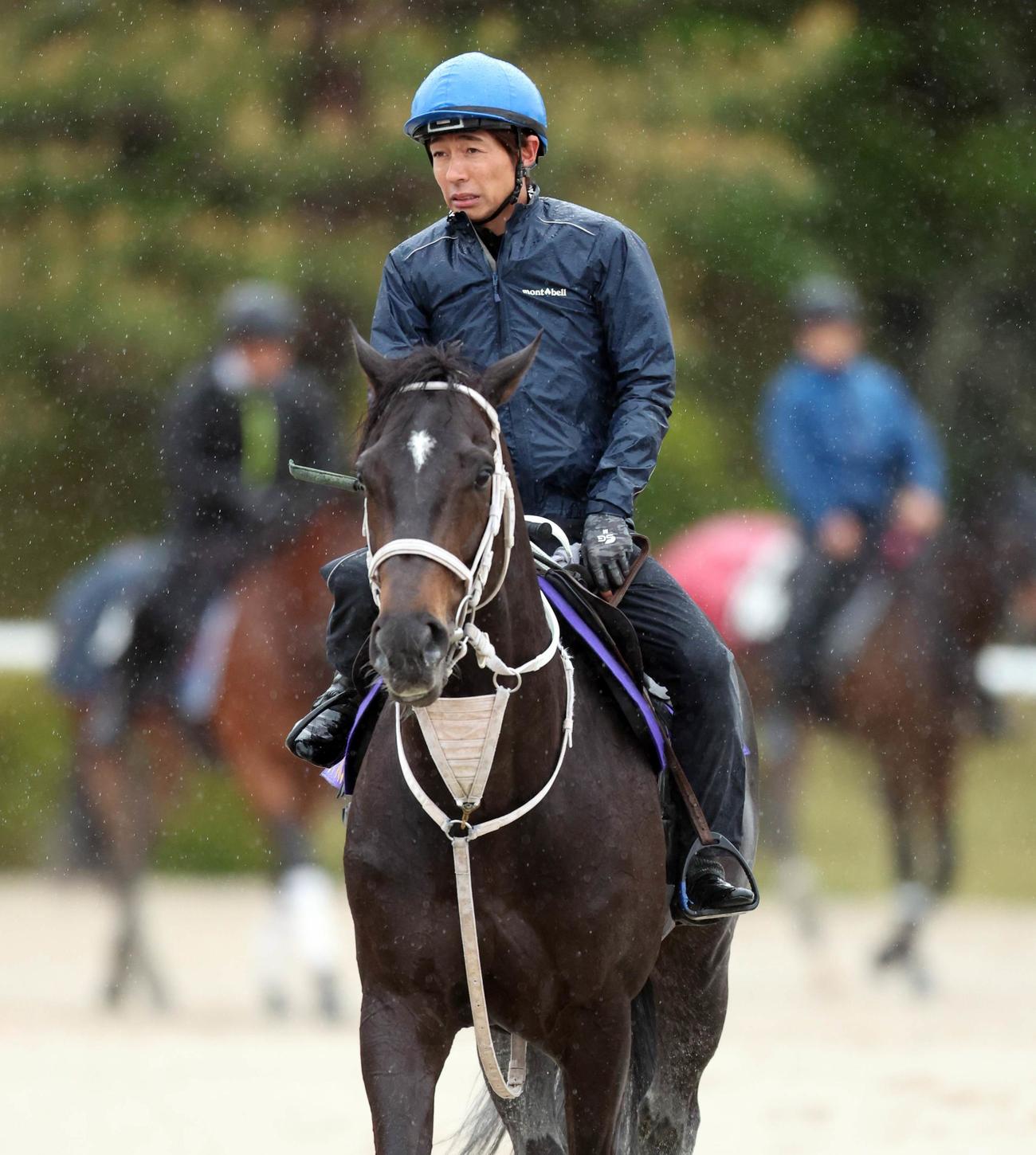 和田竜二騎手を背に馬場へ向かうディープボンド