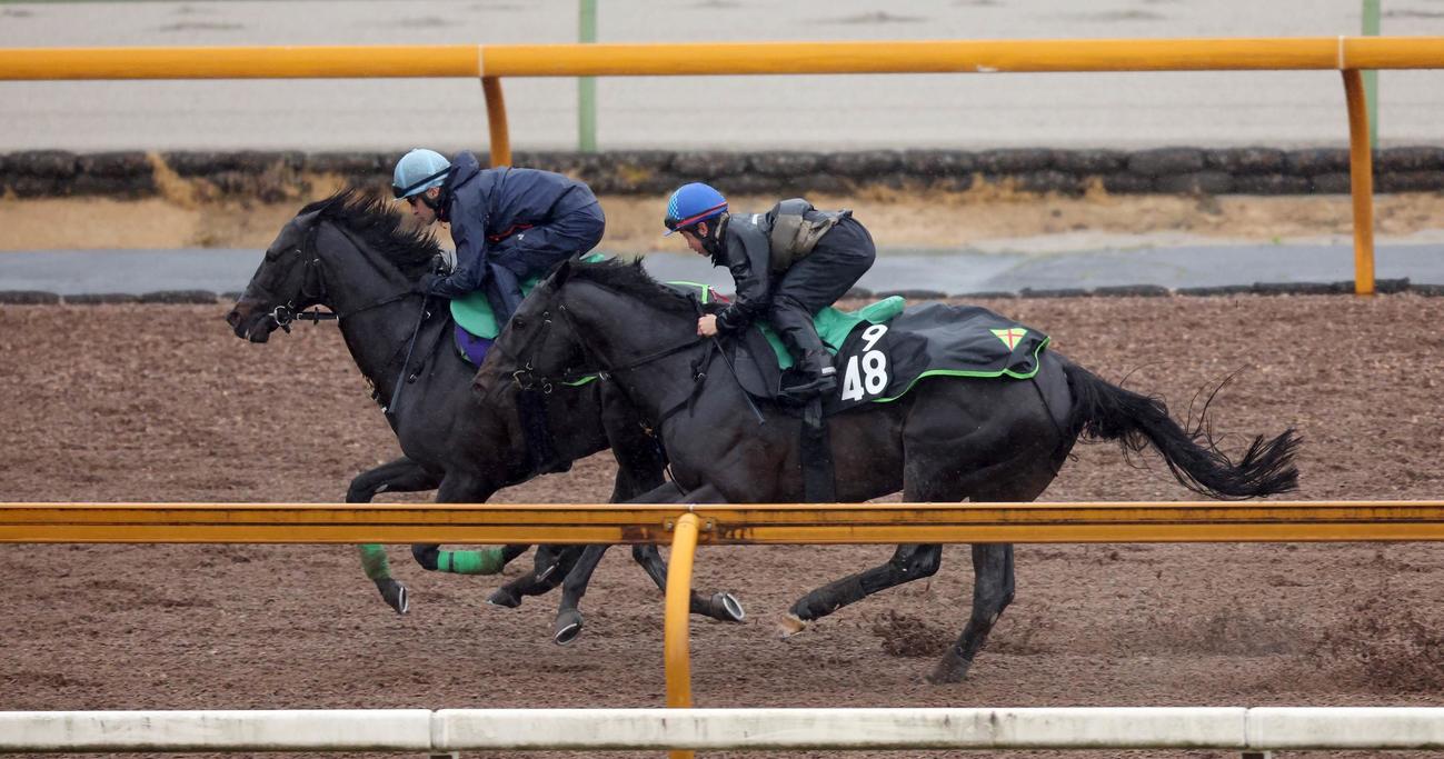 ジャスティンパレス（左）はルメール騎手を背にブライトファントムと併せて追い切る