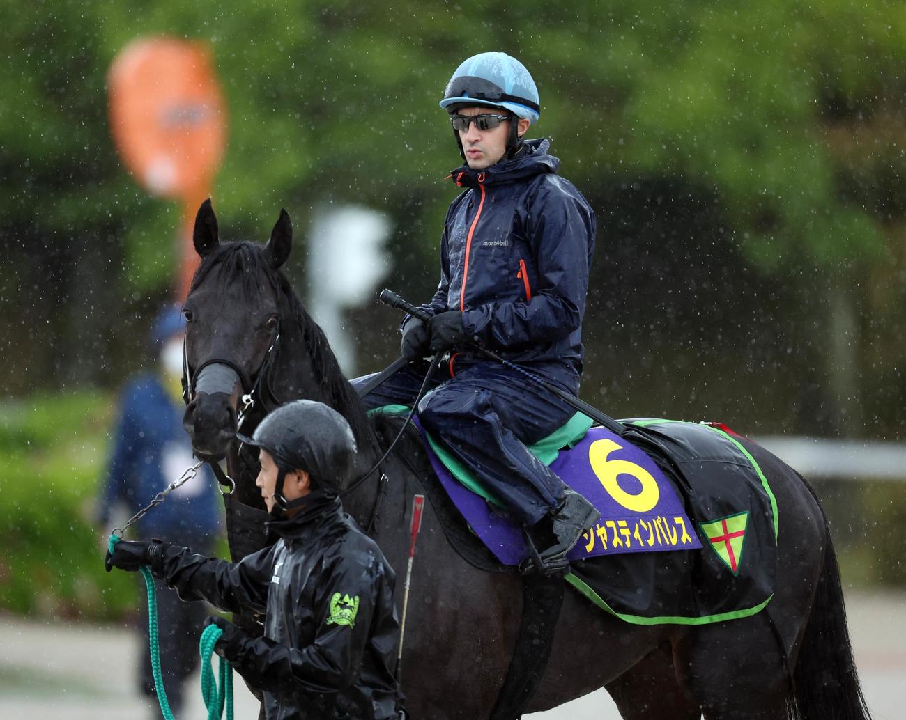 ルメール騎手を背に馬場へ向かうジャスティンパレス