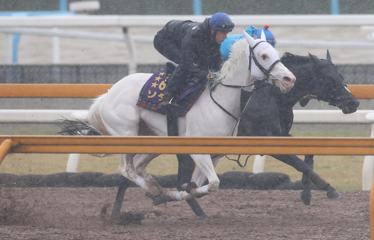 D・レーン騎手を背にCWコースにて併せ馬で追い切るソダシ（手前）