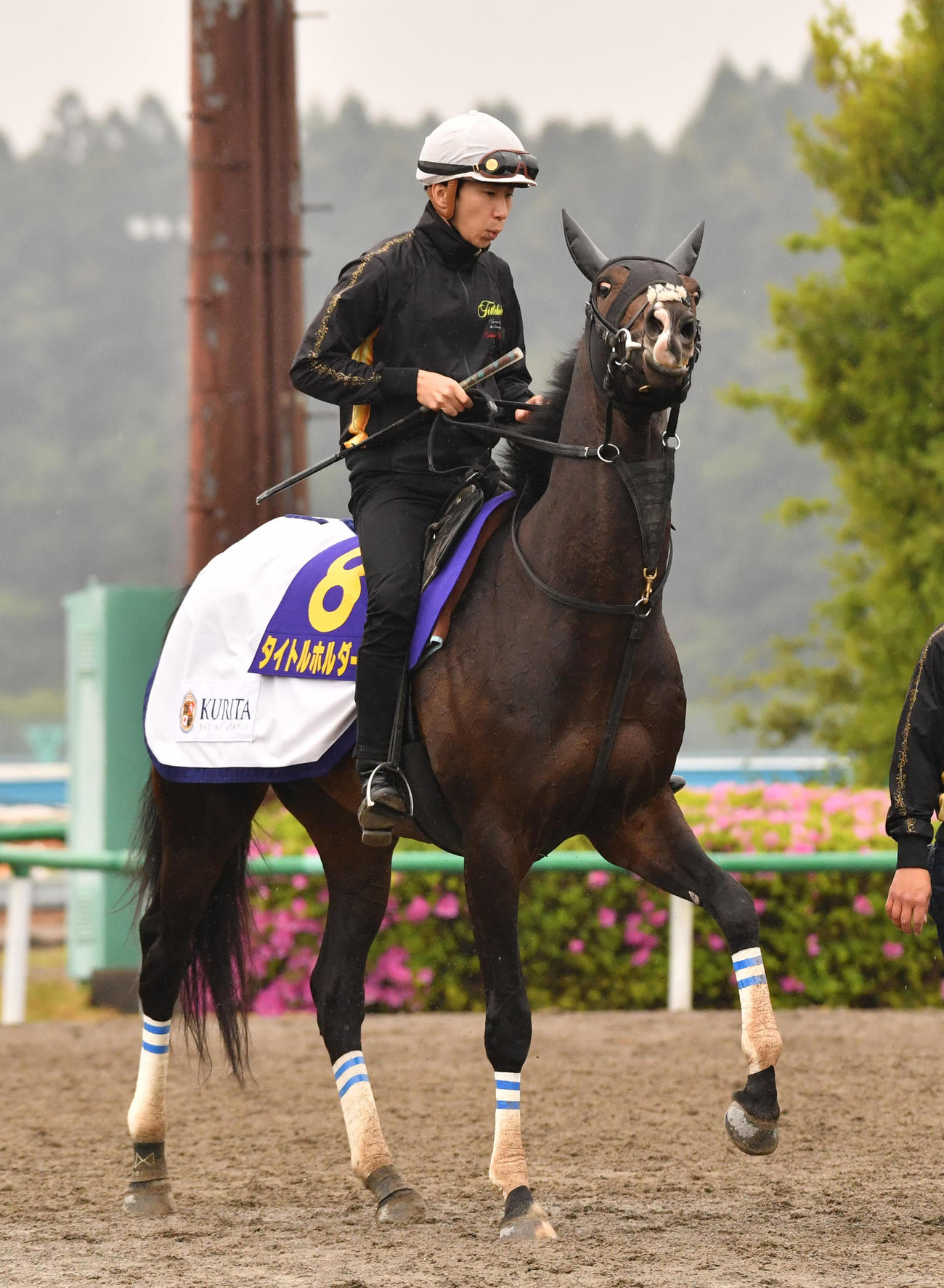 タイトルホルダーの追い切りを終えた横山和生騎手（撮影・柴田隆二）