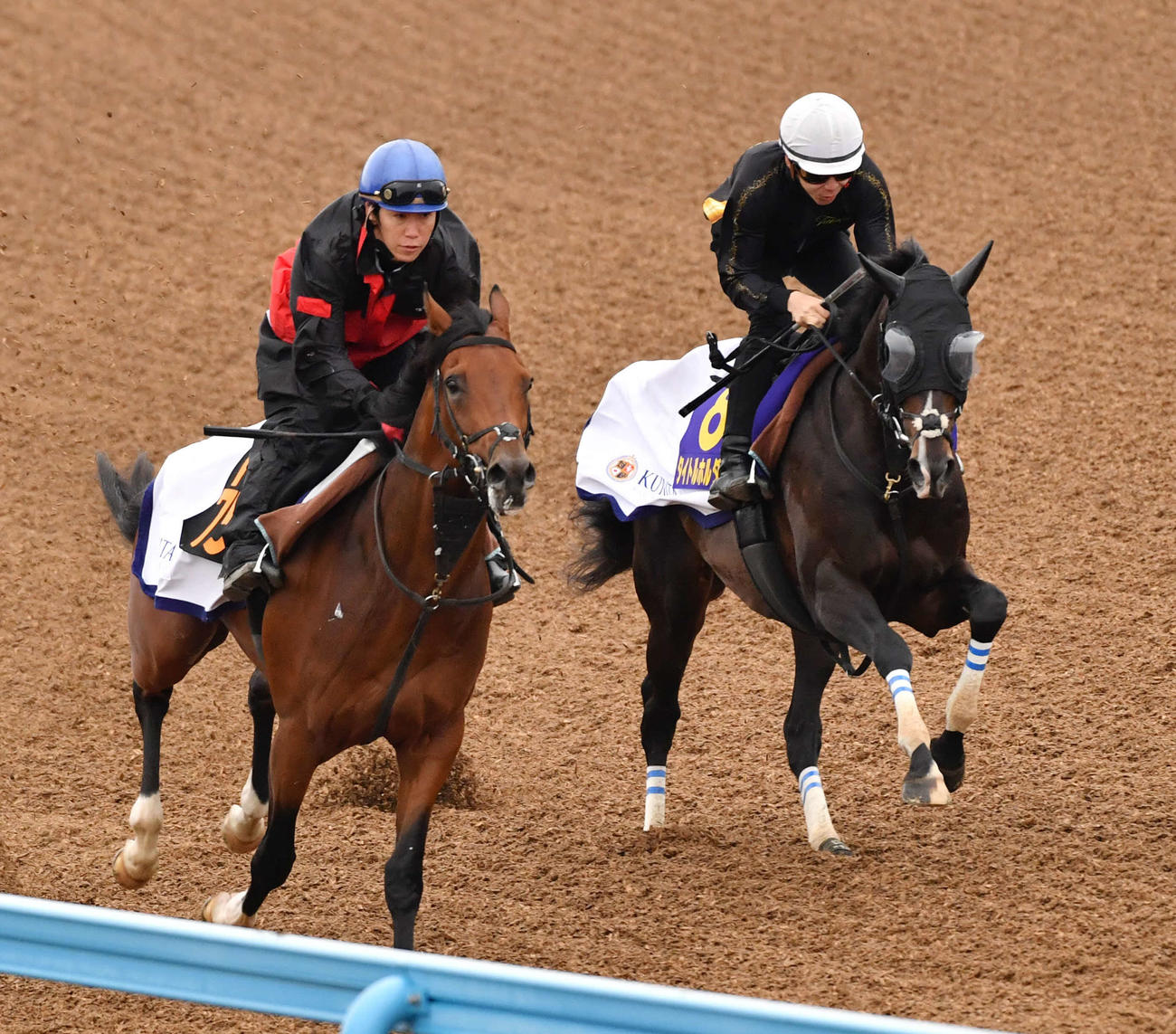 タイトルホルダー（右）は横山和騎手を背にマンスールと併せて追い切る（撮影・柴田隆二）