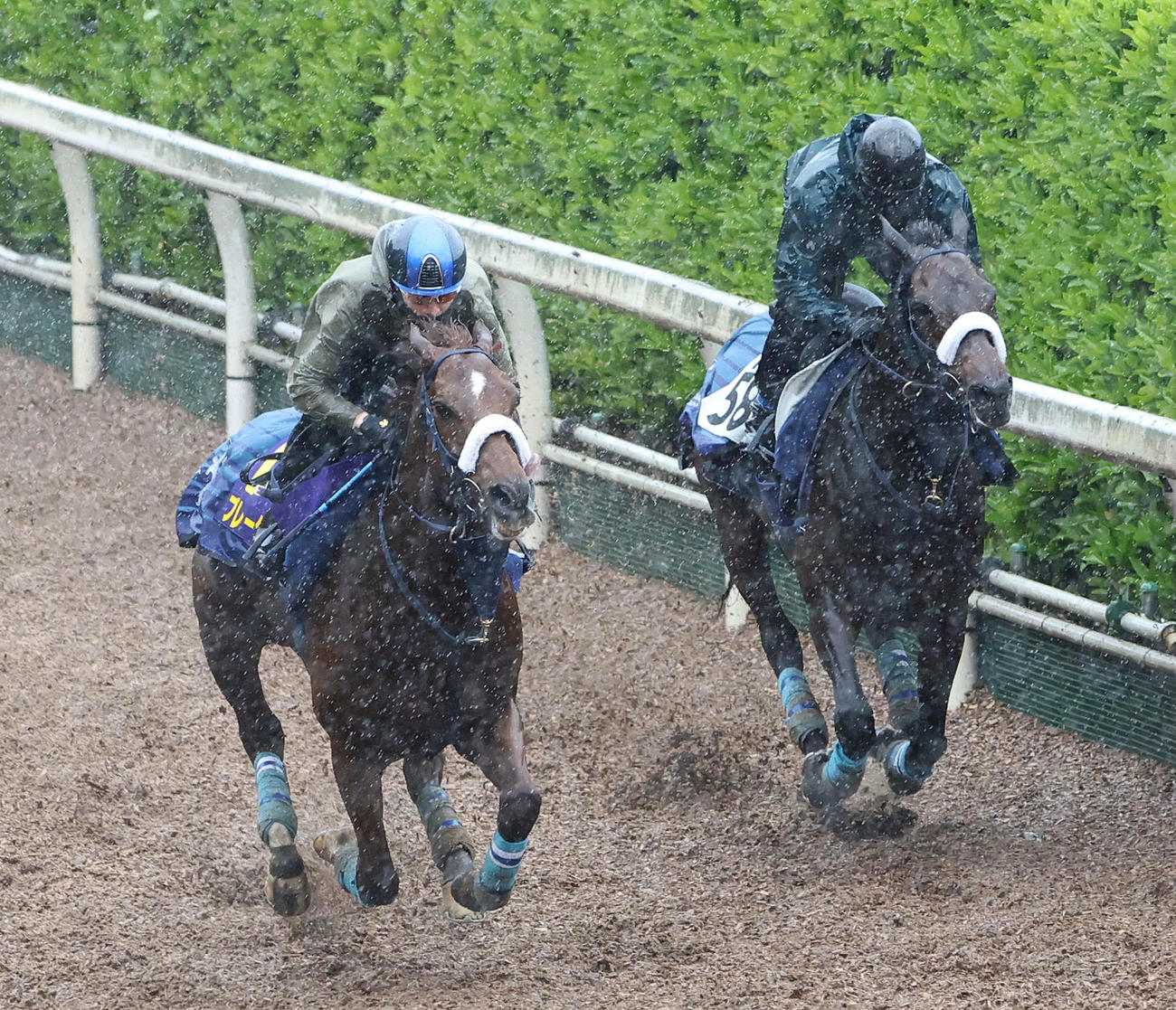 松山騎手を背に坂路をディクテオン（右）と併せ馬で追い切るブレークアップ（撮影・白石智彦）