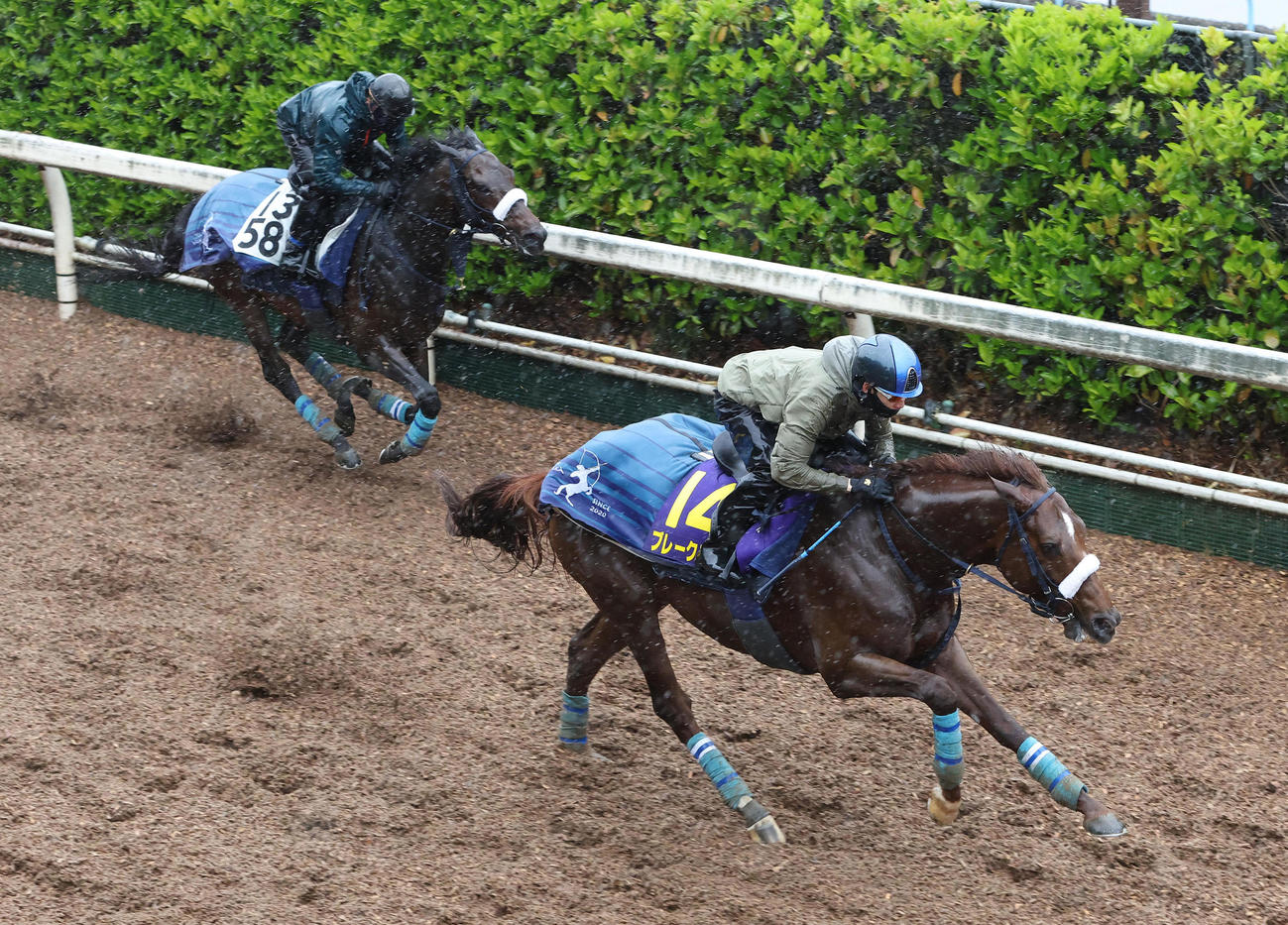 松山騎手を背に坂路をディクテオン（左）と併せ馬で追い切るブレークアップ（撮影・白石智彦）