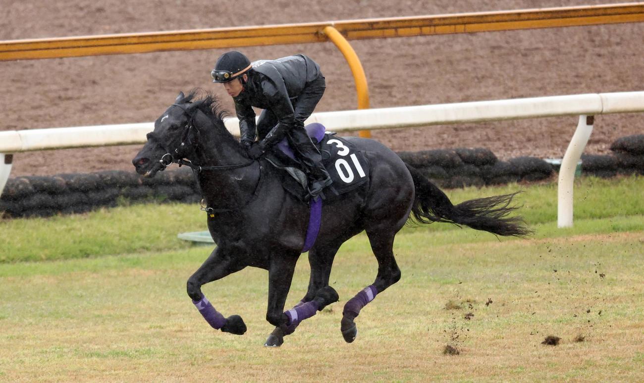 グランヴィノスは芝コースを単走で追い切る