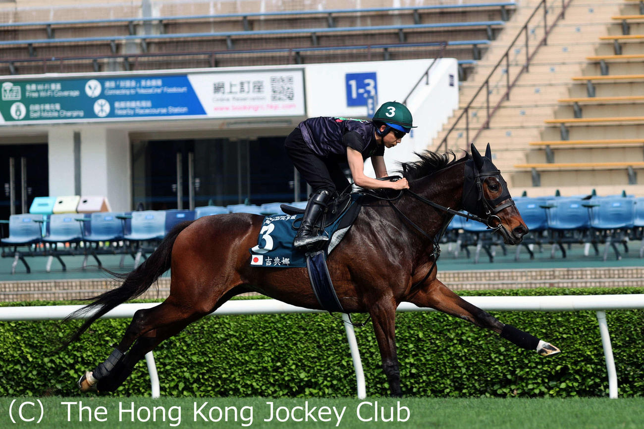 団野騎手を背にシャティン競馬場芝コースで追い切ったジェラルディーナ