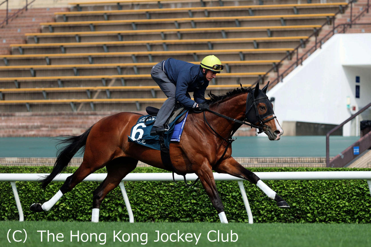 パートン騎手を背にシャティン競馬場芝コースで追い切ったプログノーシス