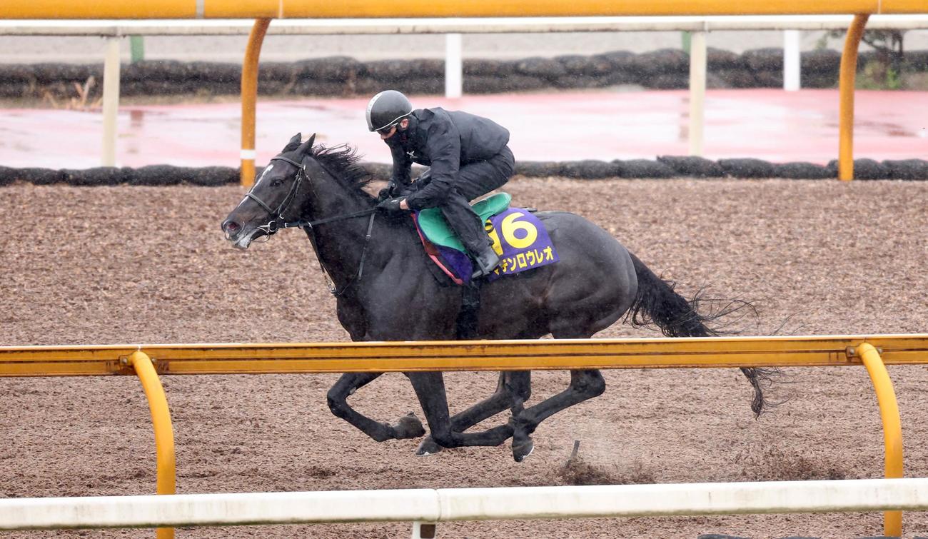 マテンロウレオはCウッドを単走で追い切る