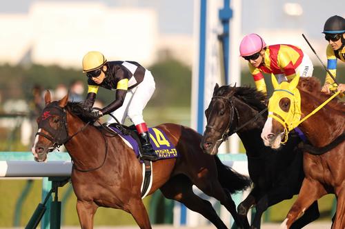 ◆　競馬　JRA　◆アスクビクターモア◆菊花賞　革キーホルダー　ホースクリップ◆ 天皇賞・春】アスクビクターモア逆襲オーラ 菊花賞馬の風格、追い切り