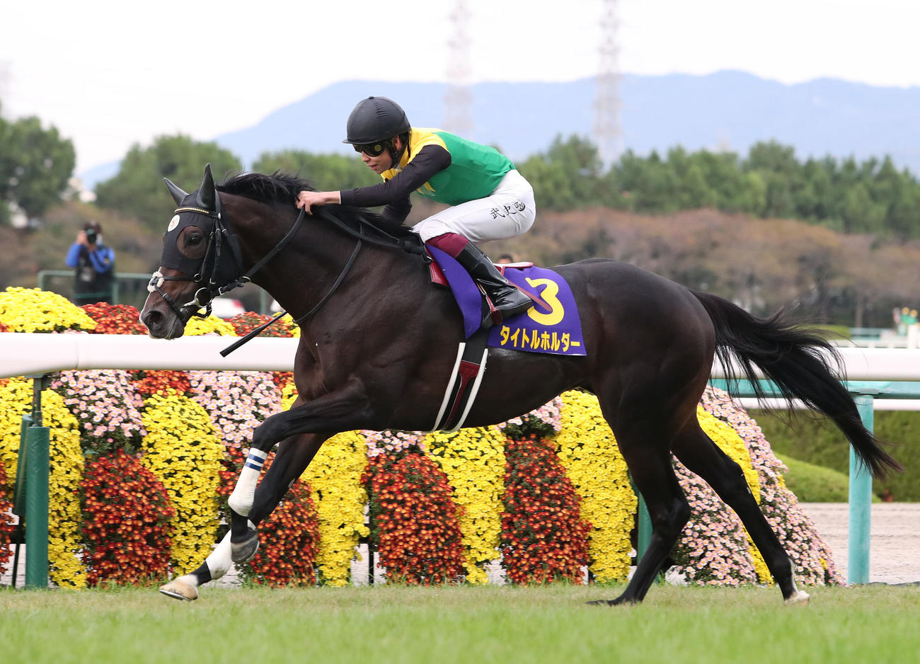 菊花賞を制したタイトルホルダー（2021年10月24日撮影）